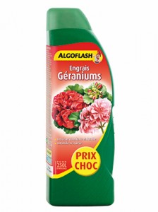 Algo_Geranium_425