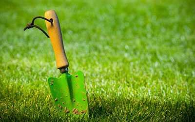 entretien des jardins et espaces vert