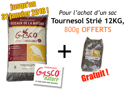 Promo Tournesol Strié 12Kg