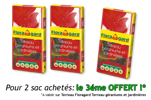 Montage_floragard_Terreaux_geranium