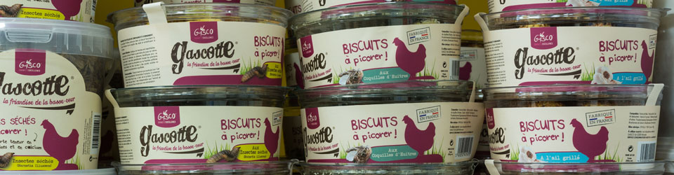 slider_monde_animal_gascotte