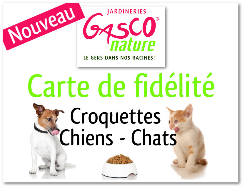 carte de fidélite chien et chat